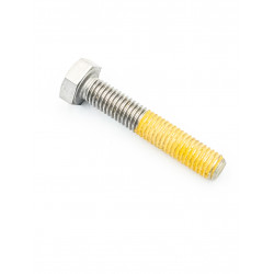 Hexagonal Head Cap Screw M8X45  250000782 