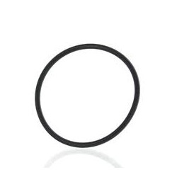 O-Ring pokrywy wirnika 293300011