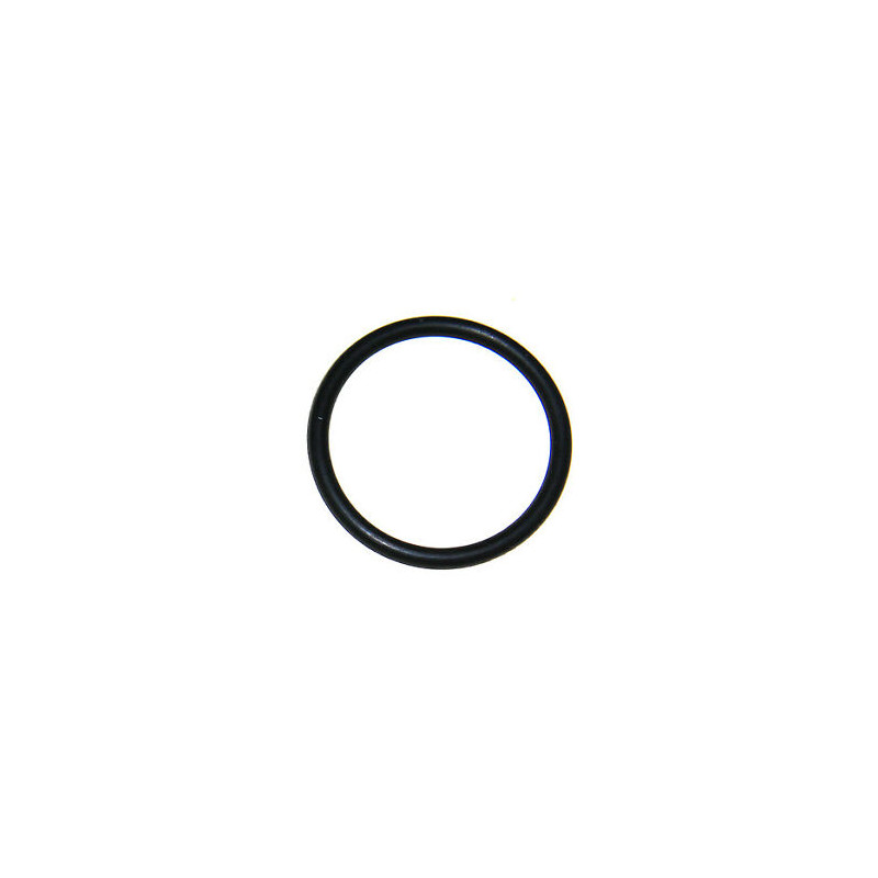 O-Ring 293300044