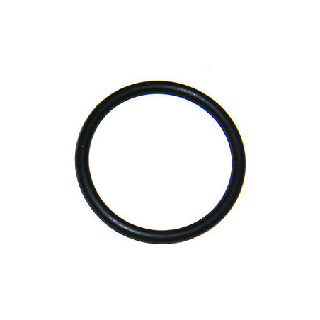 O-Ring 293300044