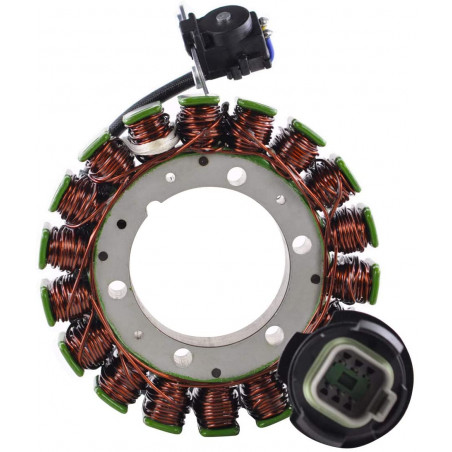 Stator 420296321 