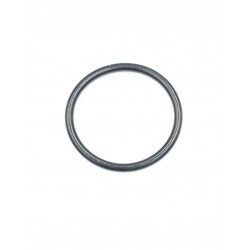 O-Ring 420631300 