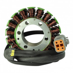 Stator 420685920 