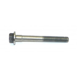 Śruba M8 x 68.5   420841998 
