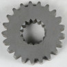 Zębatka 21 Tooth 504096200