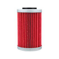 Filtr oleju 525 ATV 2520754