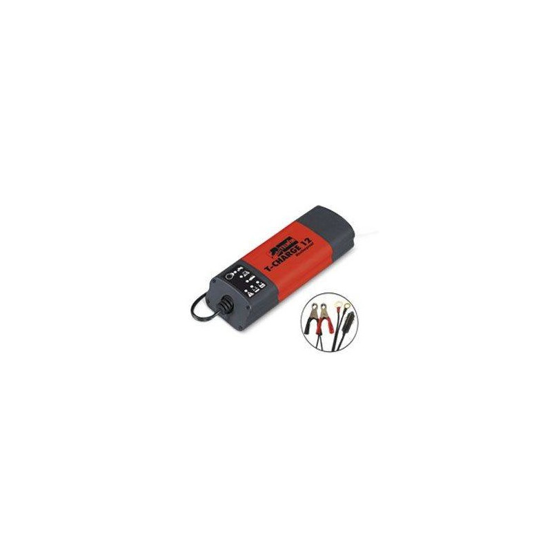 Inteligentny Prostownik 807560