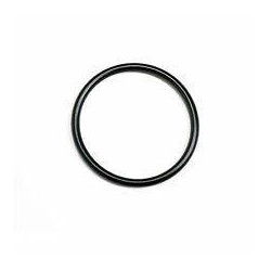 O-Ring  uszczelka 420631610