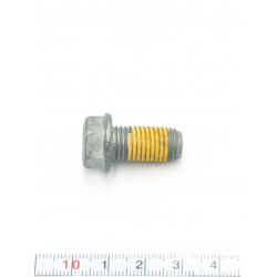 Śruba M10x20 BRP 250001046