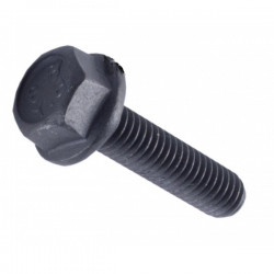 Śruba do beadlocków M6x25 BRP 250000787