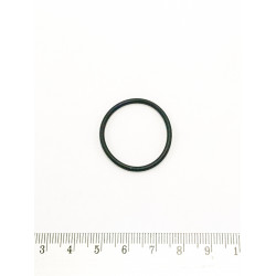 O-Ring skrzyni biegów BRP 420631612