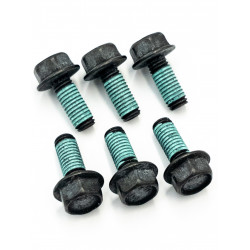Zestaw śrub magneto Can-Am Sea-doo 295501162