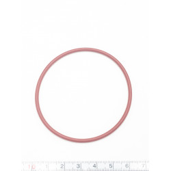 O Ring pokrywy filtra BRP 420230923