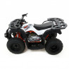 QUAD KAYO AU150 CVT
