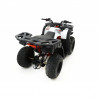 QUAD KAYO AU150 CVT