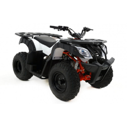 QUAD KAYO AU150 CVT