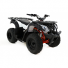 QUAD KAYO AU150 CVT