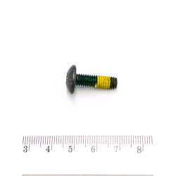 Śruba Torx M6 x 20  BRP 250000446
