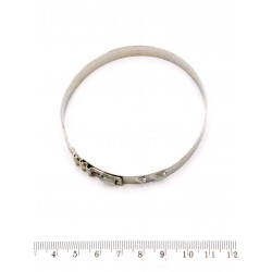 Opaska zaciskowa 66,8 mm BRP 715900284