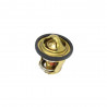 Termostat 65°  420222494