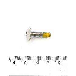 Śruba TORX SCREW M5 X 20 BRP 250000528