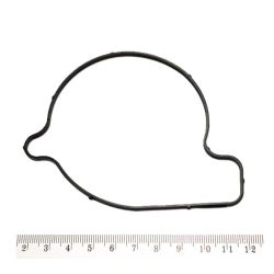 Uszczelka pompy wody Can-Am Ski-Doo BRP 420651190
