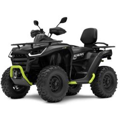 Quad Atv Segway Snarler AT6 L BLACK/GREEN