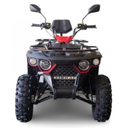Quad Atv Linhai M210 EFi 2x4 red