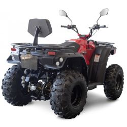 Quad Atv Linhai M210 EFi 2x4 red