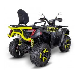 Quad Atv TGB blade 1000 ltx max eps limited