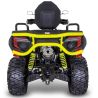 Quad Atv TGB blade 1000 ltx max eps limited