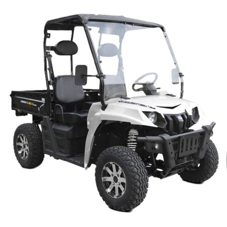 Linhai E-5S Electric 2x4 UTV gloss black
