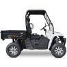 Linhai E-5S Electric 2x4 UTV gloss black