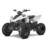 Quad Atv Linhai 110 junior 6,4 KM