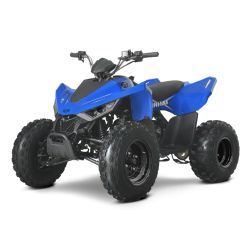 Quad Atv Linhai 110 junior 6,4 KM