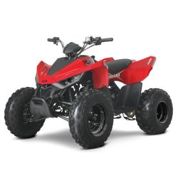Quad Atv Linhai 110 junior 6,4 KM