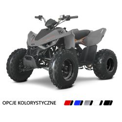 Quad Atv Linhai 110 junior 6,4 KM