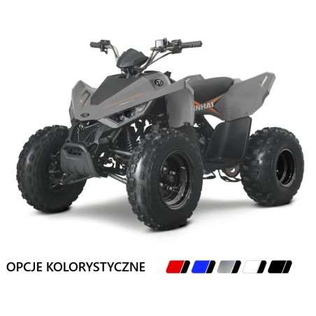 Quad Atv Linhai 110 junior 6,4 KM