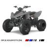 Quad Atv Linhai 110 junior 6,4 KM