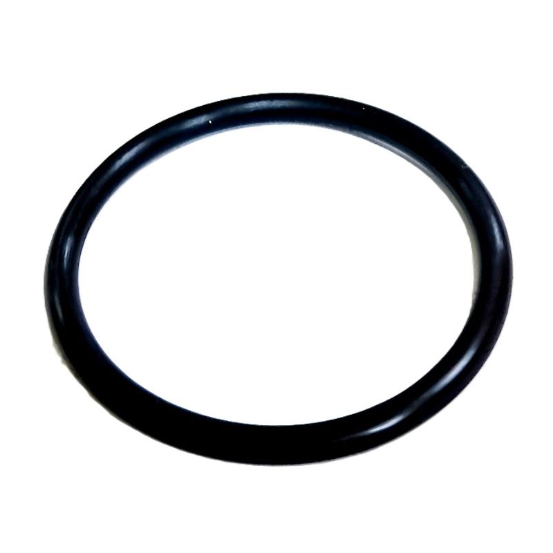 O-Ring pod pokrywe termostatu zm 420631300