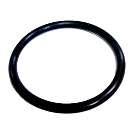 O-Ring pod pokrywe termostatu zm 420631300