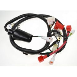 Wiązka elektryczna Kayo K2 K2L dirt bike
