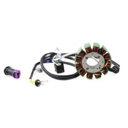 Stator Kayo K4 T4 dirt bike 250-72