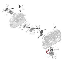 O-ring uszczelka miski olejowej Can-Am B 420650560
