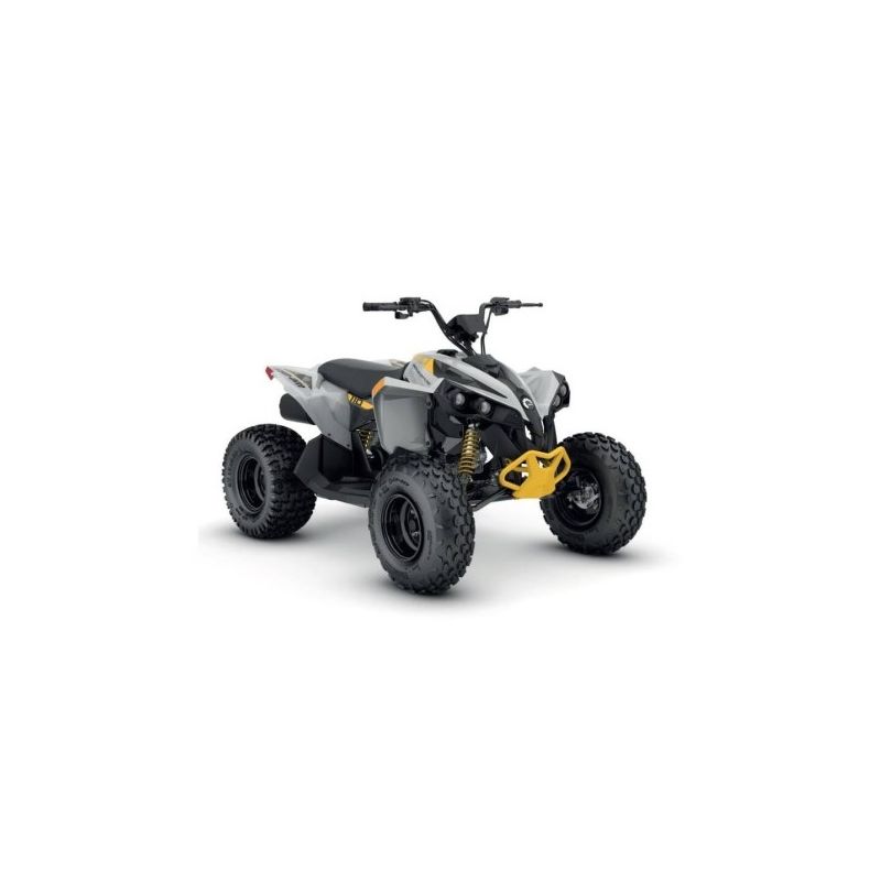 Can-Am Renegade 110 EFI 2026 3MTA