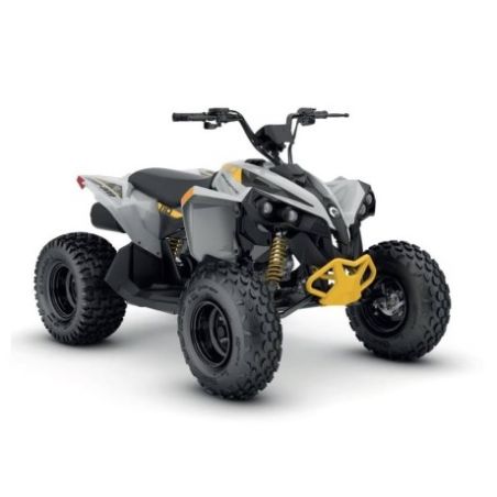 Can-Am Renegade 110 EFI 2026 3MTA
