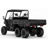 Can-Am Traxter 6x6 DPS HD10 Compass green 9VTC 202