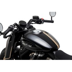 Benda Napoleon Bob 500 Mysterious Gold 2026